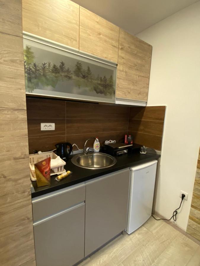 Kopaonik Apartmani Milmari - Katic Exteriér fotografie
